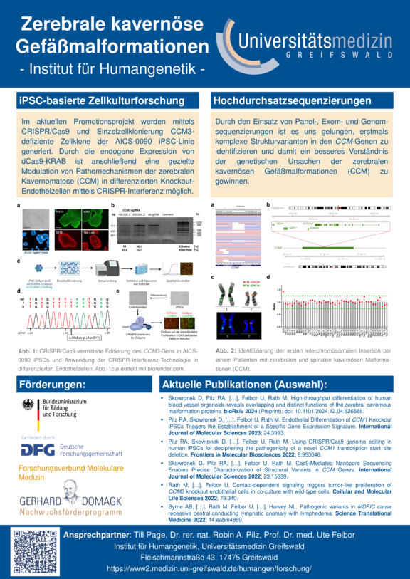 TdWdM_Institut_für_Humangenetik_T._Page_Promotion.pdf  