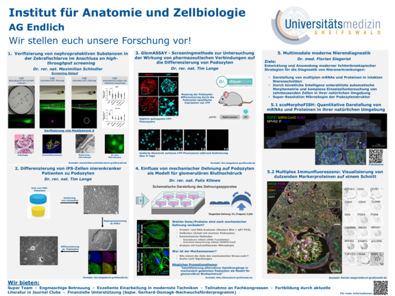 TdWdM_2023_Anatomie_und_Zellbiologie.pdf  