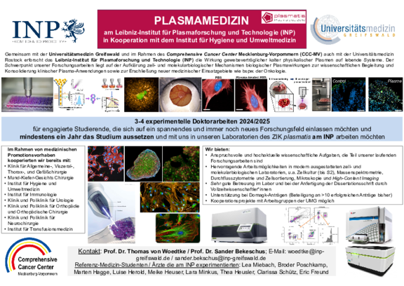 TDWDM24_INP-IHU_von_Woedtke.pdf  