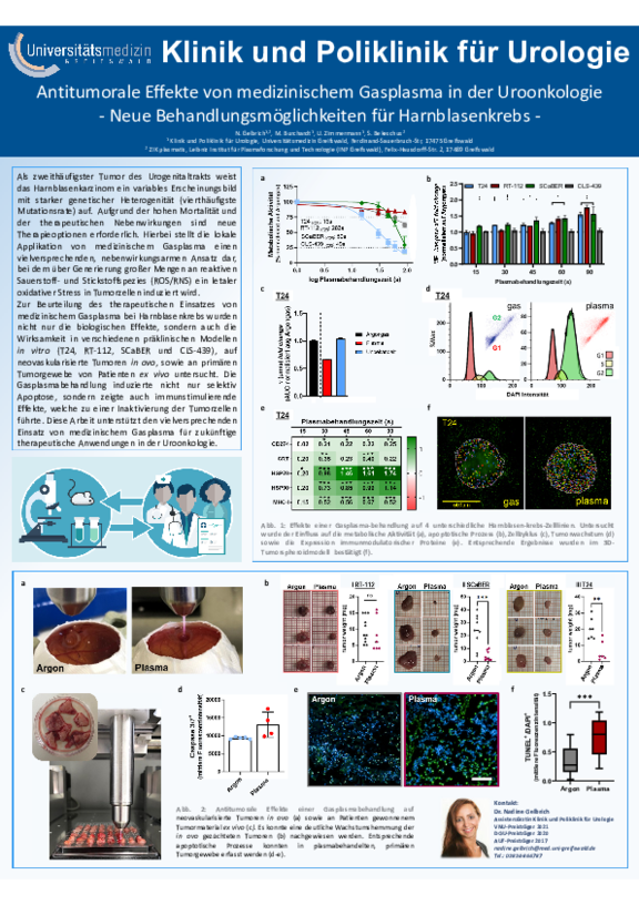 TdWdM__Klinik_und_Poliklinik_für_Urologie_Julia_BernerNadine_Gelbrich.pdf  
