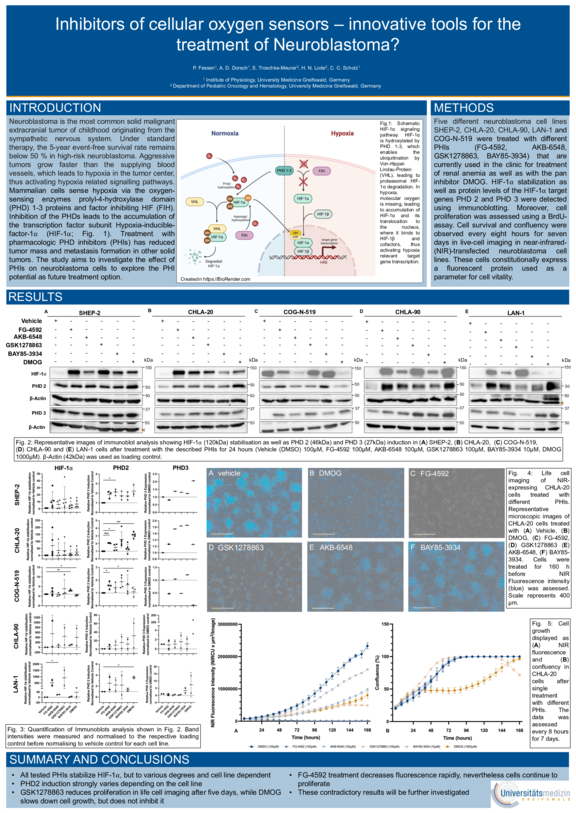 TdWdM_Institut_fuer_Physiologie_Pauline_Fessen.pdf  