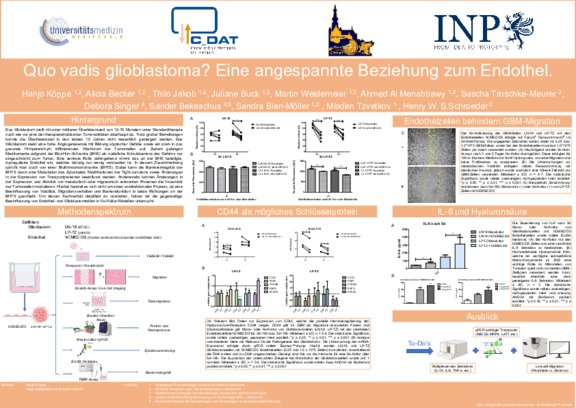 Poster_BHS_2.0_Köppe.pdf  