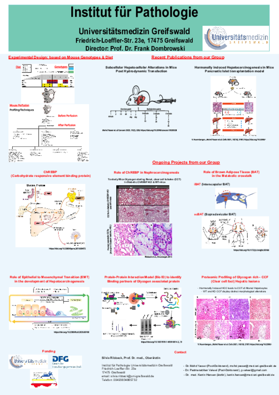 TdWdM_Pathology_Yasser.pdf  