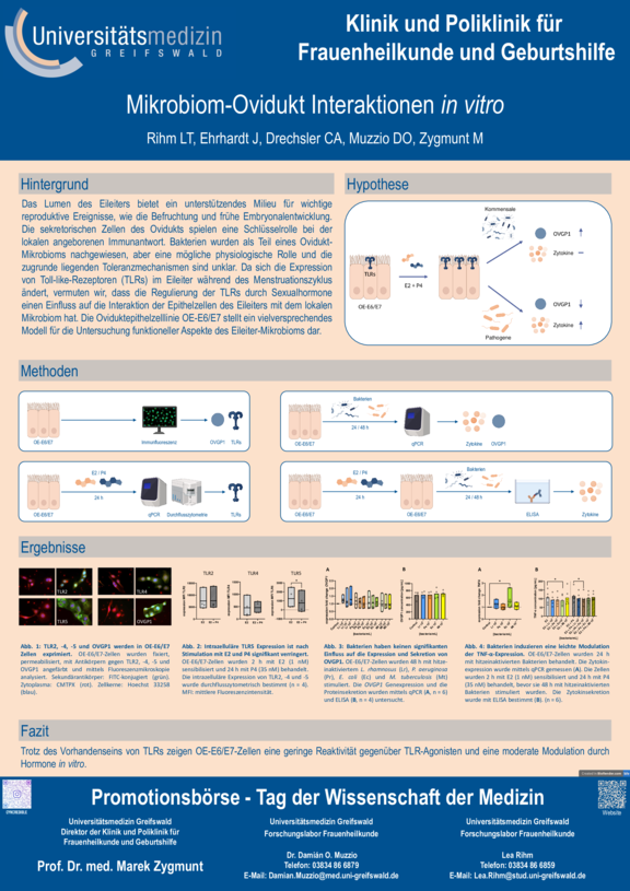TdWdM_FoLabGyn_Rihm_Promotion.pdf  