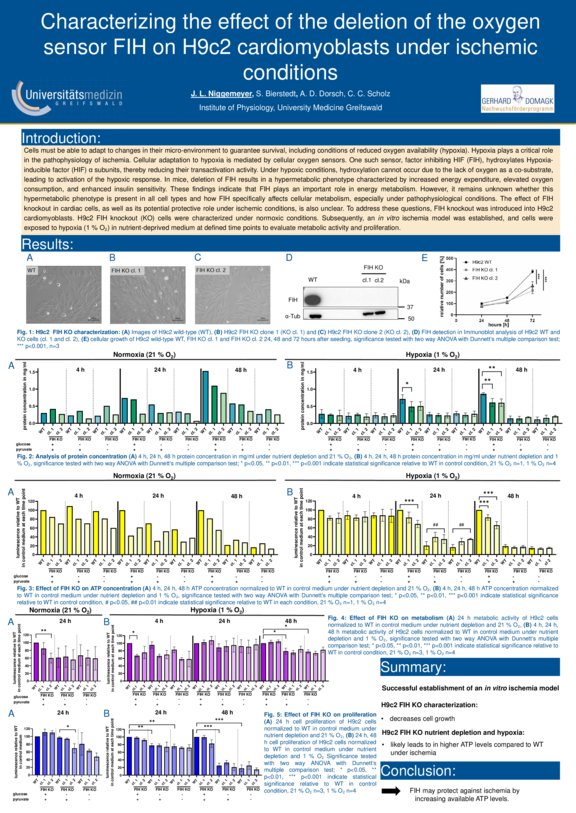 TdWdM-Justus_Niggemeyer.pdf  