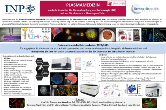 TdWdM_INPGreifswald_Clemen.pdf  