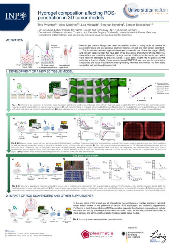 TdWdM_Leibniz_Institute_for_Plasma_Science_and_Technology_Tino_Pritzkow.pdf  