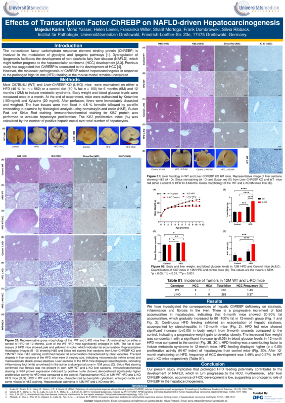 TdWdM_InstituteForPathology_Karim.pdf  