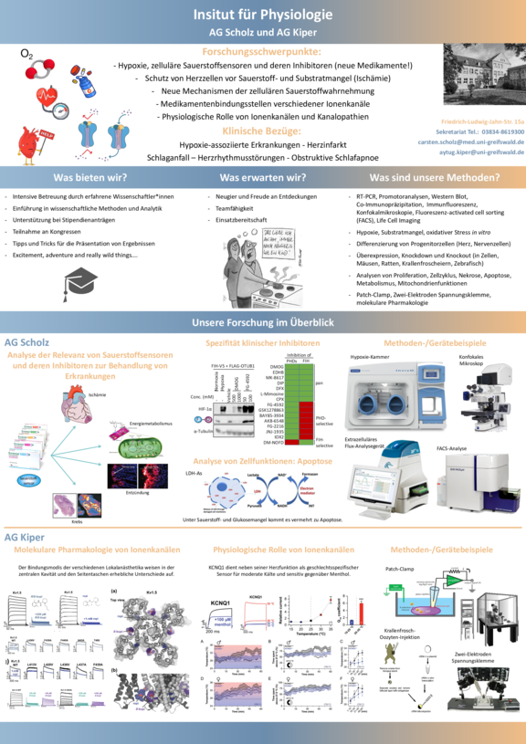 TdWdM-2025_Physiologie_CScholz_AKiper.pdf  