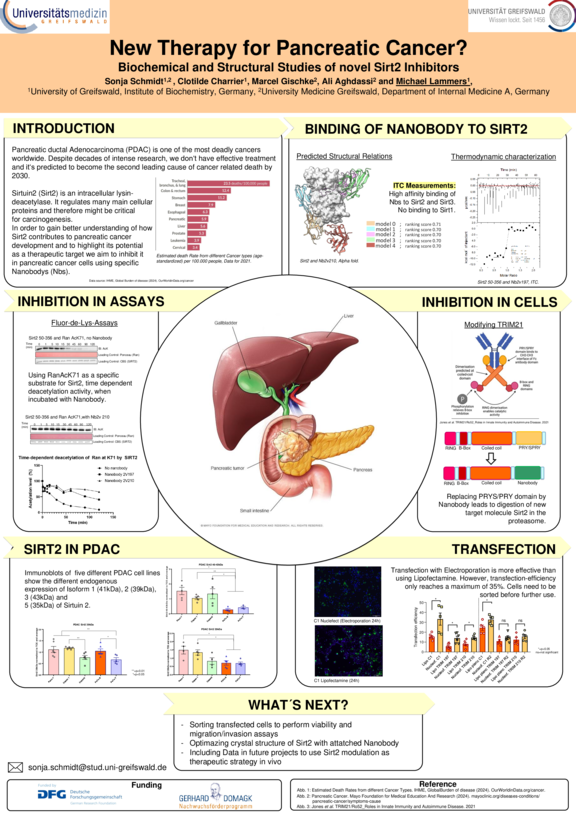 Domagk_TdWdM_2025_Sonja_Schmidt.pdf  