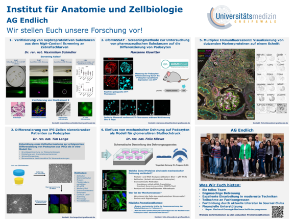 TdWdM_2024_Anatomie_und_Zellbiologie.pdf  