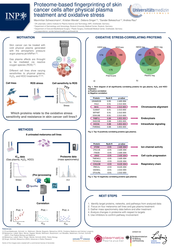 TdWdM_INP_Schwarzmann_Promotion.pdf  