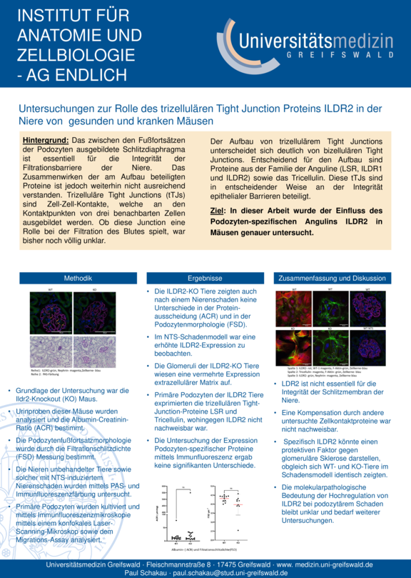 Domagk_TdWdM_2025_Paul_Schakau.pdf  