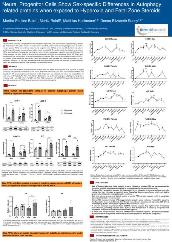 Domagk_TdWdM_2025_Pauline_Boldt_Poster_Autophagy.pdf  