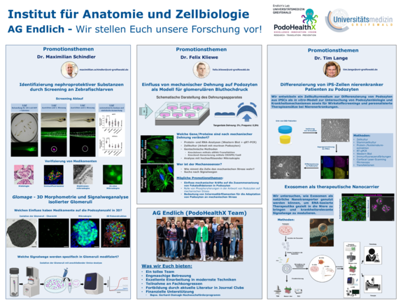TdWdM_2026_Anatomie_und_Zellbiologie_AG_Endlich.pdf  