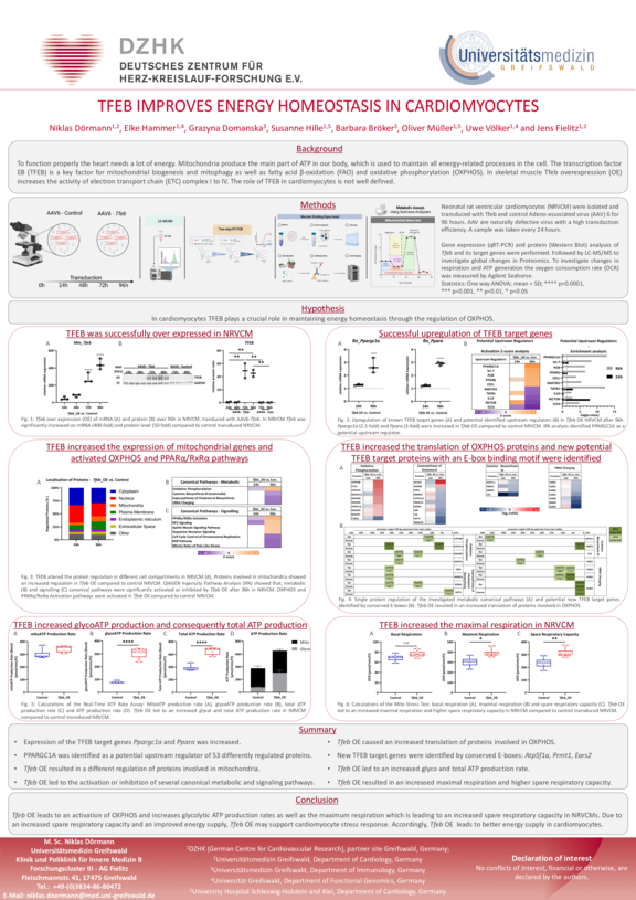 TdWdM_KIMB_D_rmann.pdf  