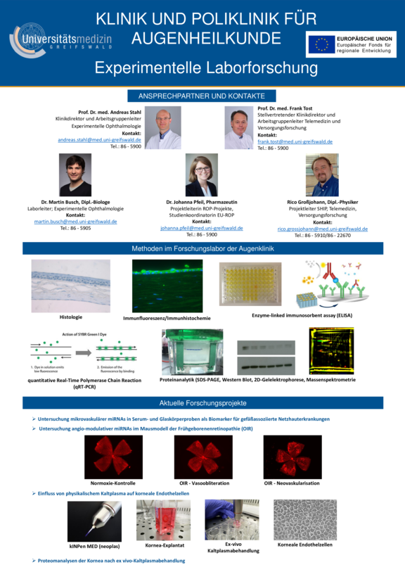 TdWdM2022_Augenklinik_Busch.pdf  