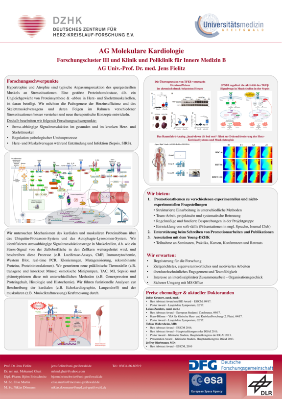 TdWdM_Molekulare_Kardiologie_KIMB_Jens_Fielitz.pdf  