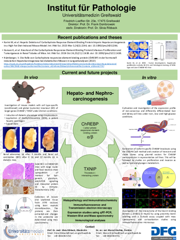 TdWdM_Institut_für_Pathologie_Prof._Silvia_Ribback_Dr._Marcel_Gischke.pdf  