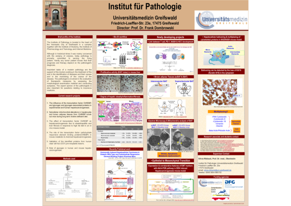 TdWdM_Institut_für_Pathologie_Sharif_Mortoga_und_Mohd_Yasser.pdf  