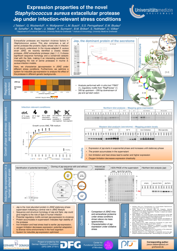Domagk_TdWdM_2025_Jöran_Tebben.pdf  