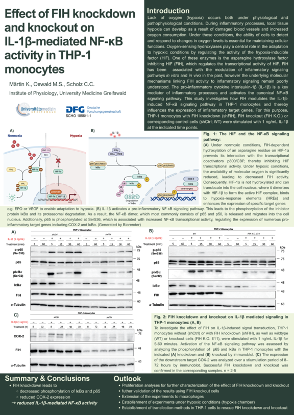 TdWM_Physiologie_Scholz_Maertin_Promotion.pdf  