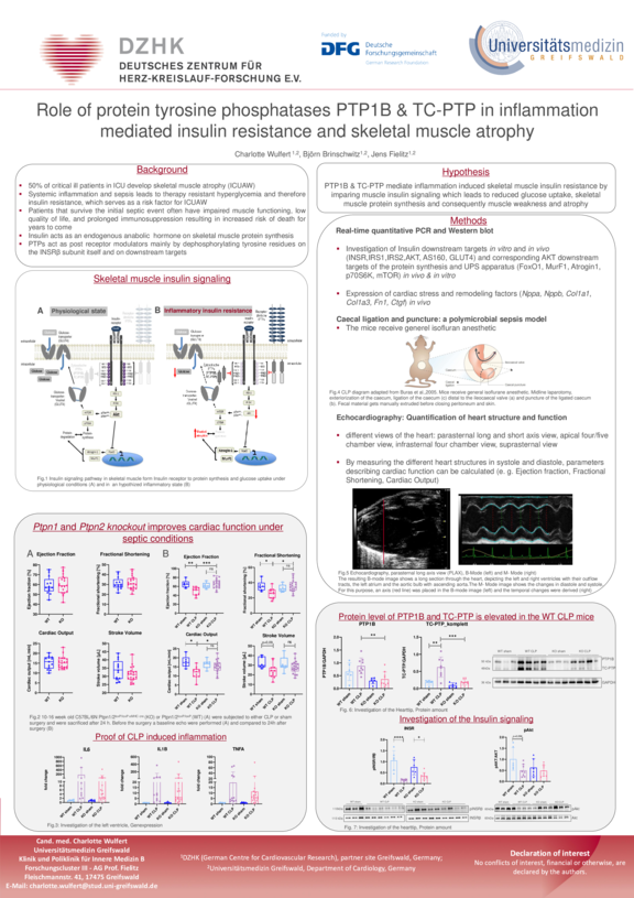 TdW_medizin_2023_neu_Wulfert.pdf  