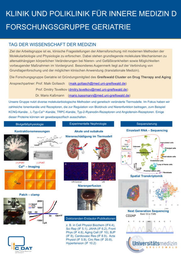 TdWdM_Innere_Medizin_D_Maik_Gollasch_2024.pdf  
