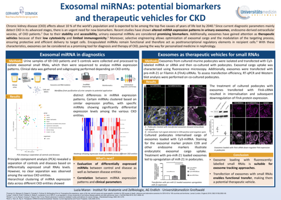 Domagk_TdWdM_2025_Luzia_Maron.pdf  