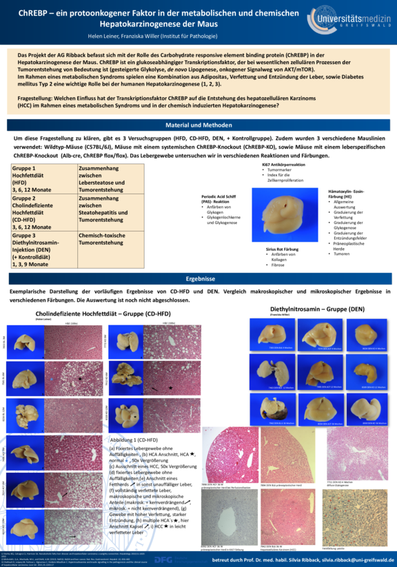 TdWdM_Pathologie_Leiner_Willer.pdf  