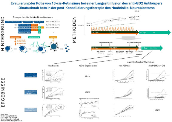 Domagk_TdWdM_2025_Moritz_Rothe.pdf  