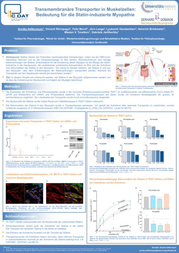 TdWdM_Allgemeine_Pharmakologie_Annika_Hafkemeyer_Promotion.pdf  